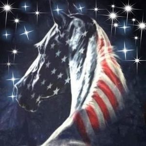 Meet your Posher, Ronnie